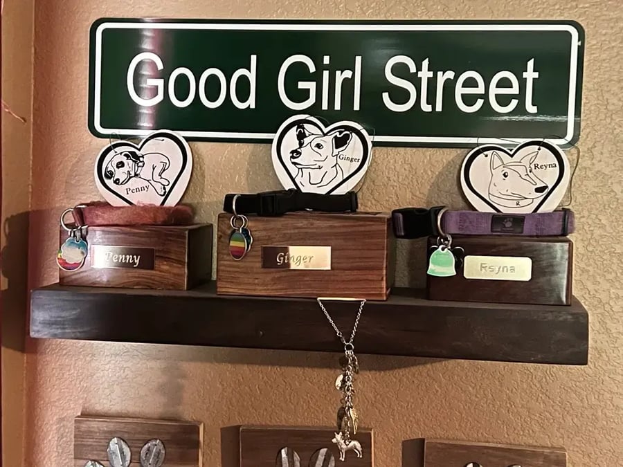 Honoring the Ones We’ve Loved and Lost: Rainbow Bridge Remembrance Day